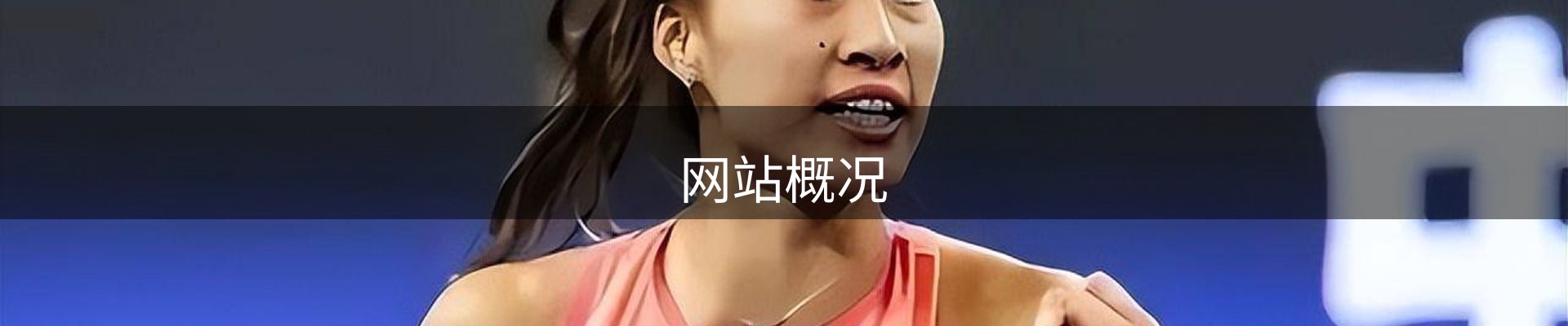 网站概况